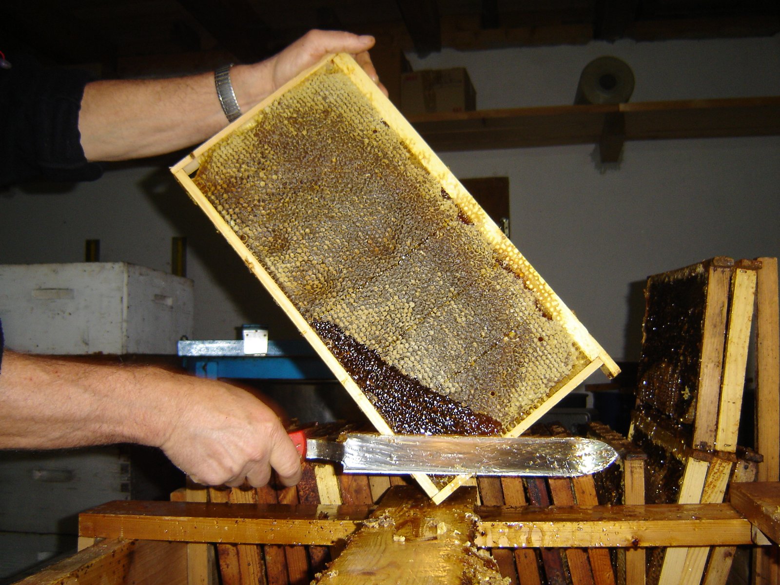Fabrication du miel